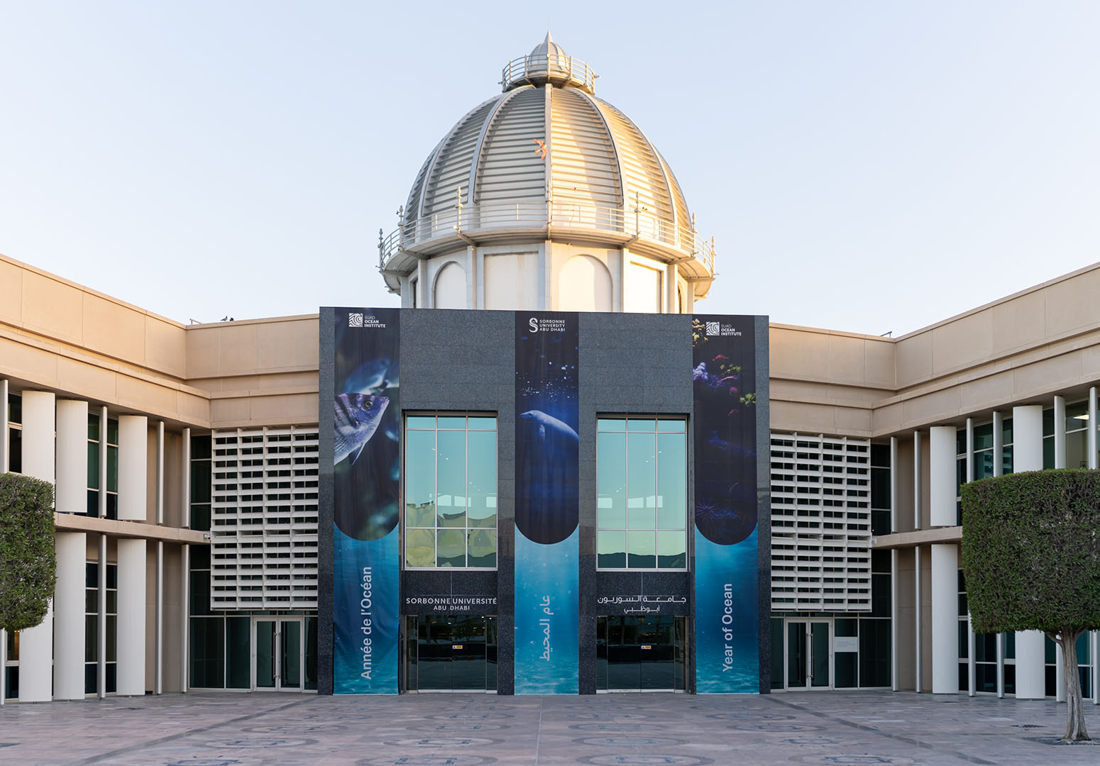 عام المحيطات 2025