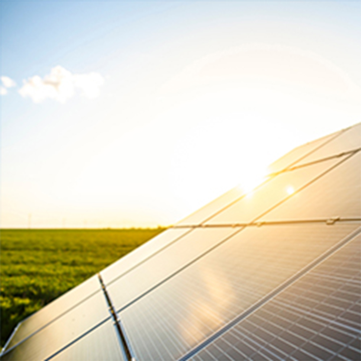 جامعة السوربون