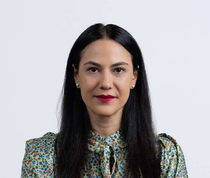 Dr.  Angeliki Kordoni