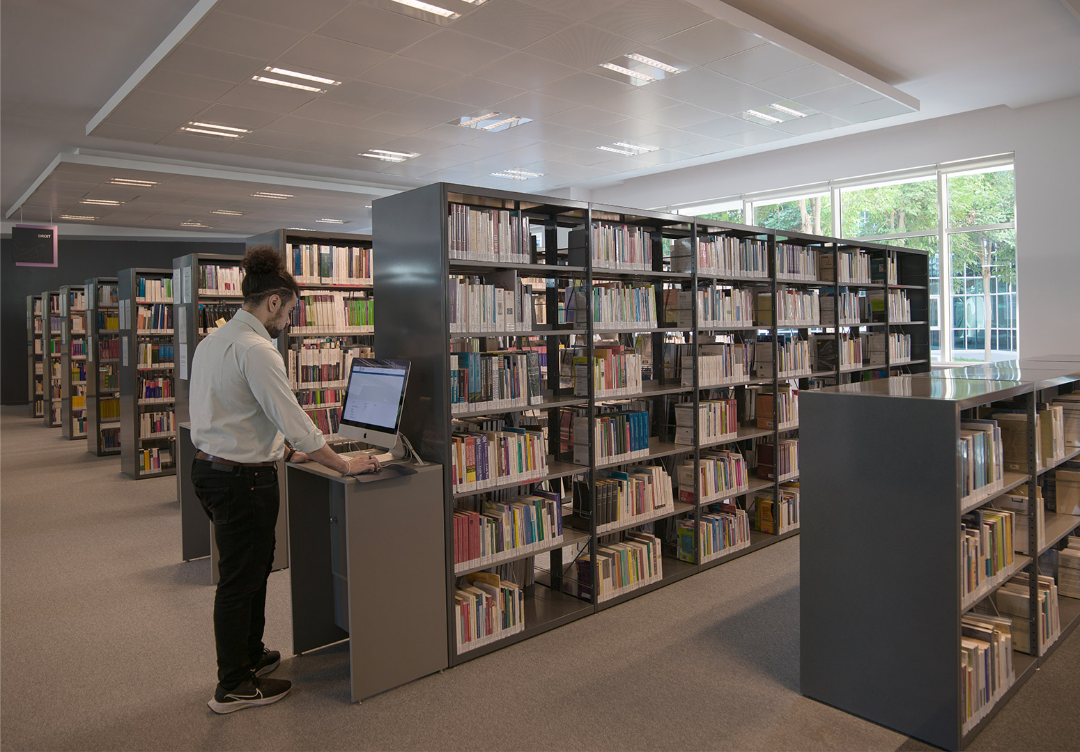 الاستعارة والطلبات