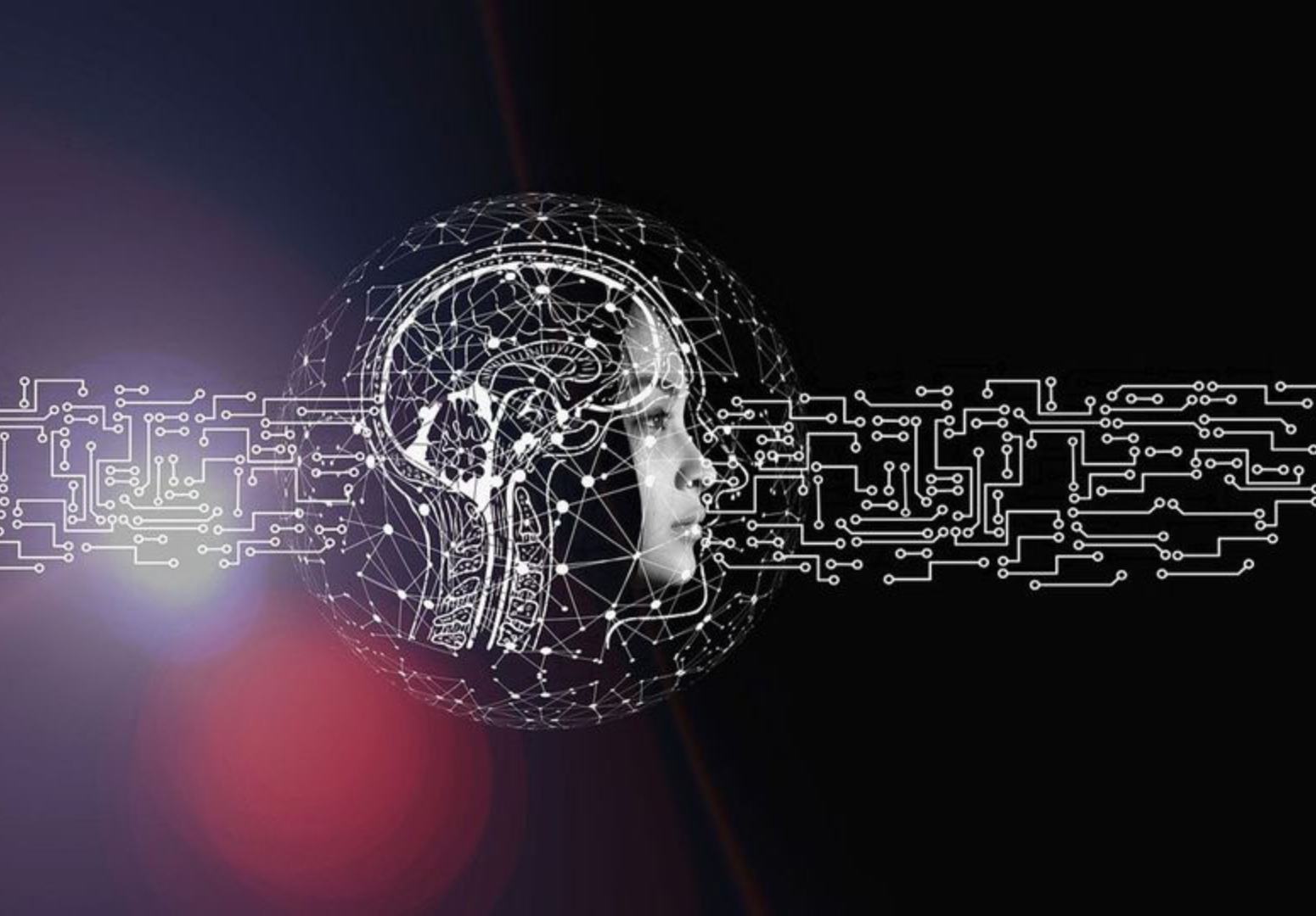 Belief-Guided Meta-Reinforcement Learning via a Biologically Inspired Framework for Attention and Decision Making