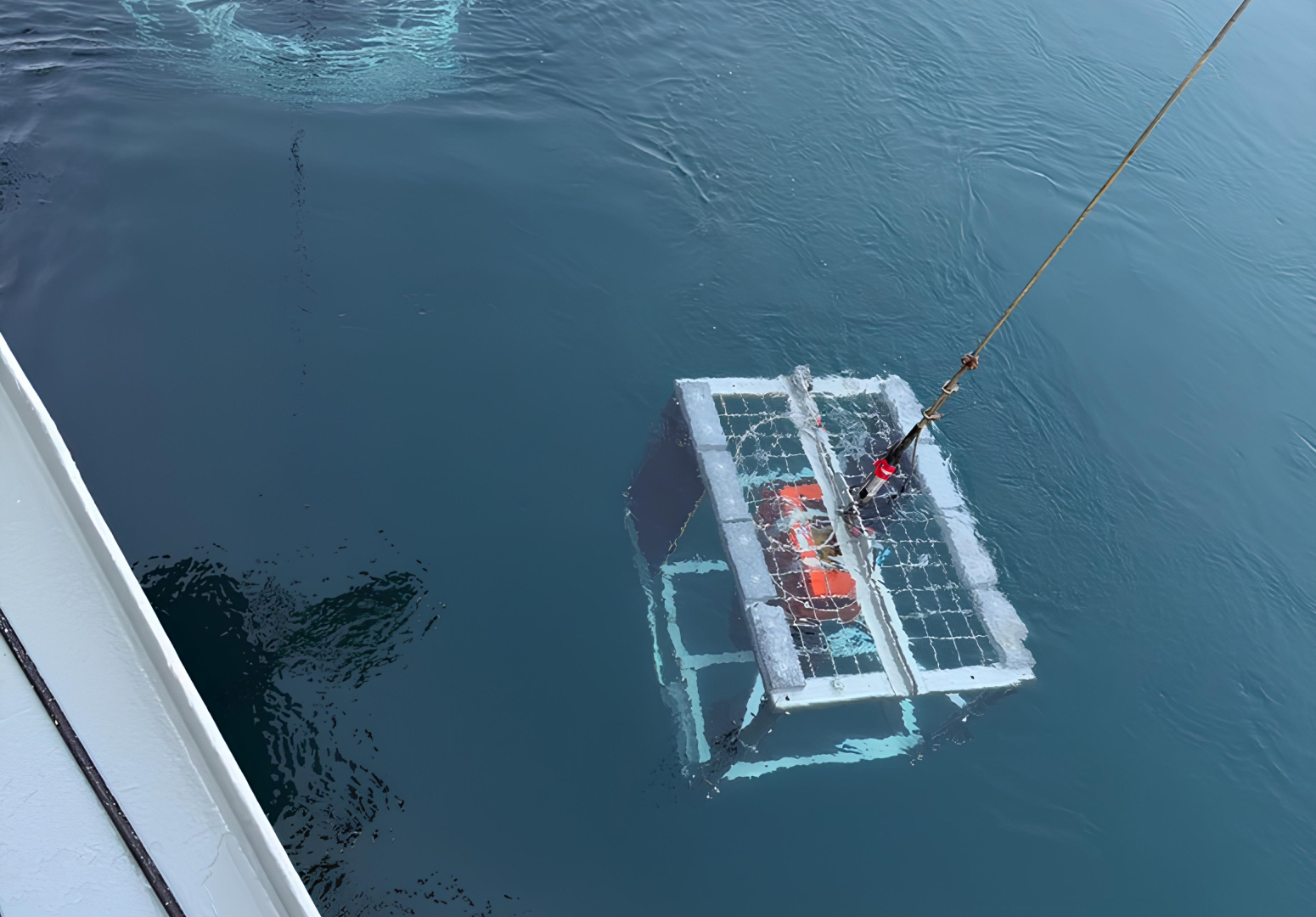 Bachelor in Coastal and Oceanographic Applied Sciences and Technologies (COAST)